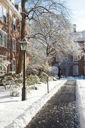 snow_scene